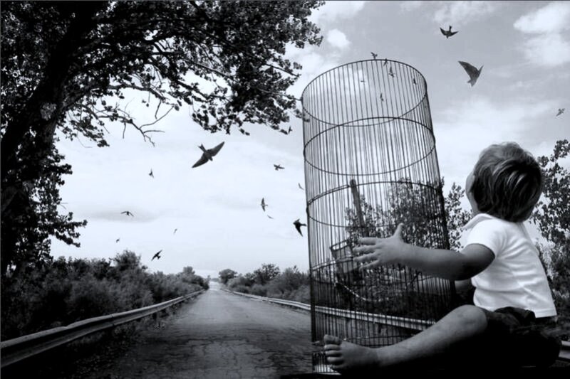 Child Releasing Birds