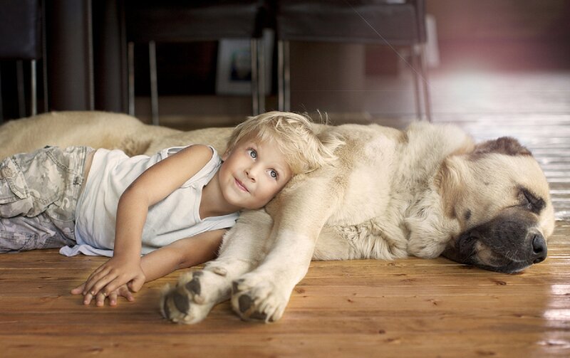 Child Resting on Dog