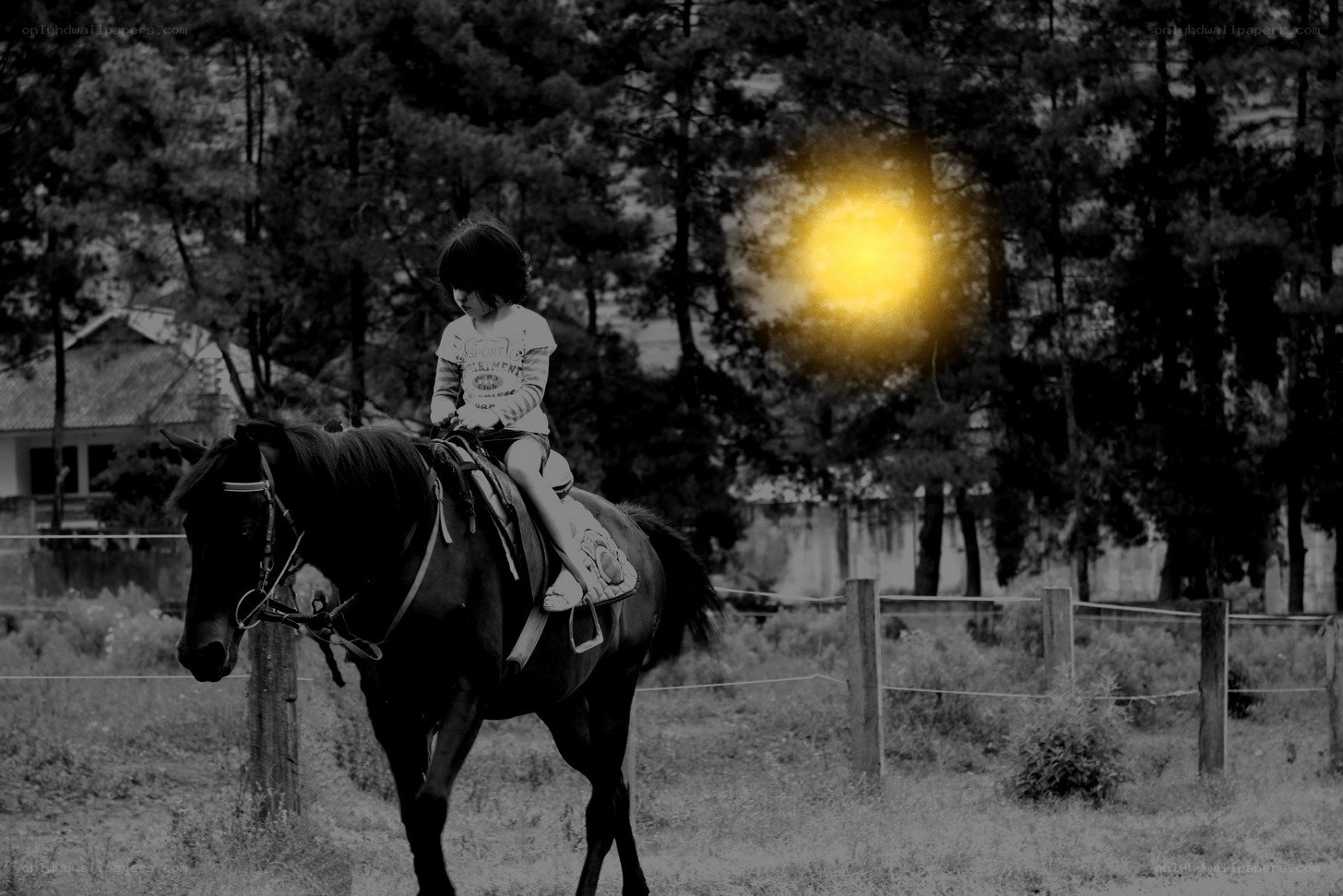 child riding a horse