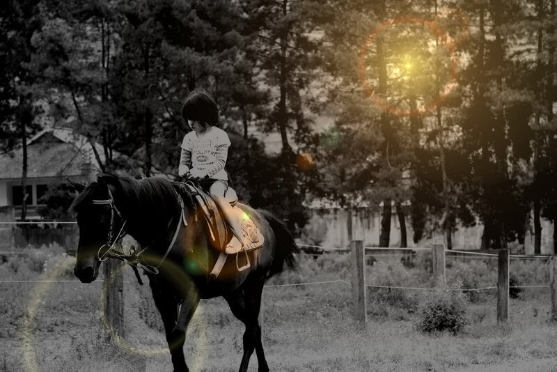 child riding a horse at sunset
