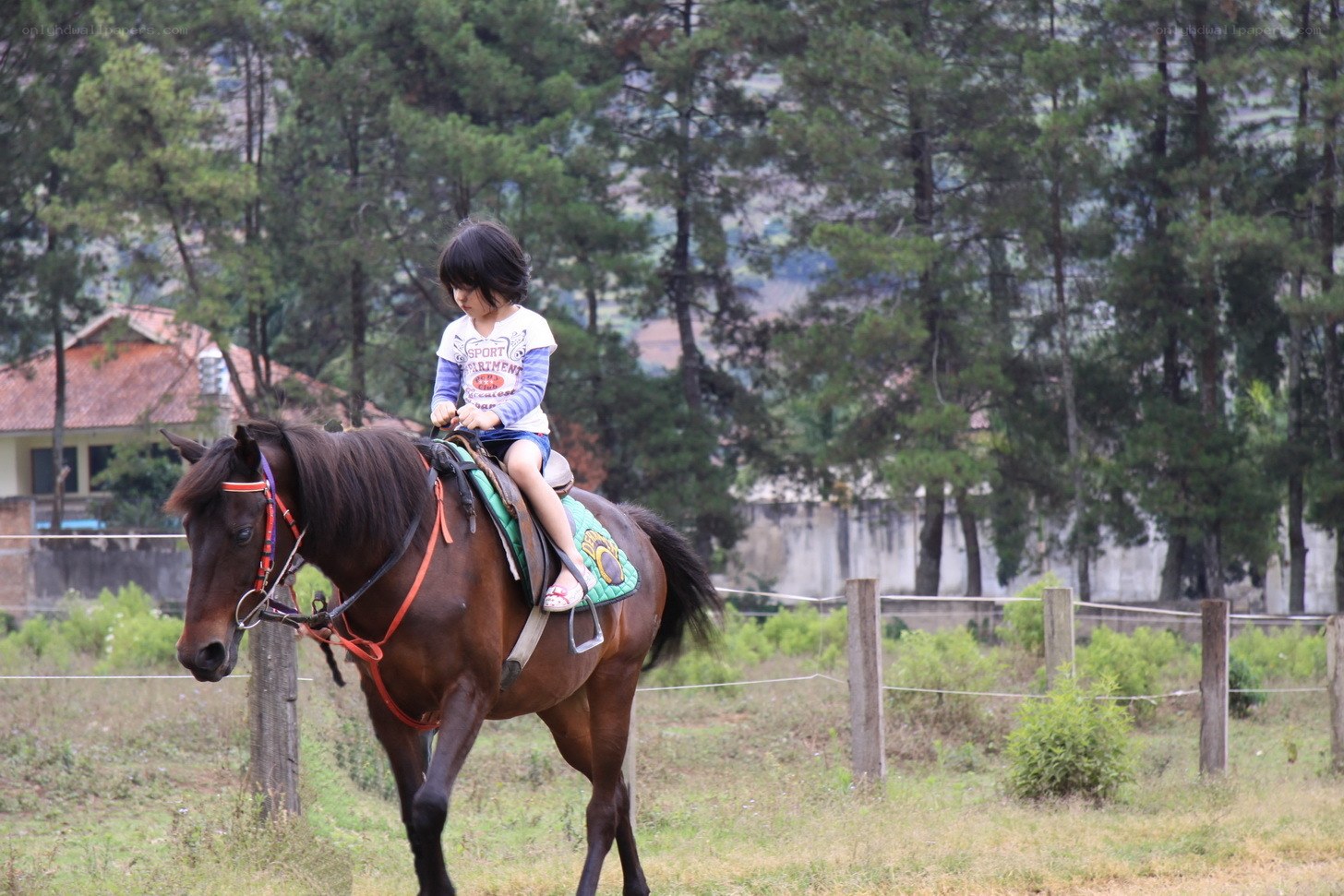 child riding a horse
