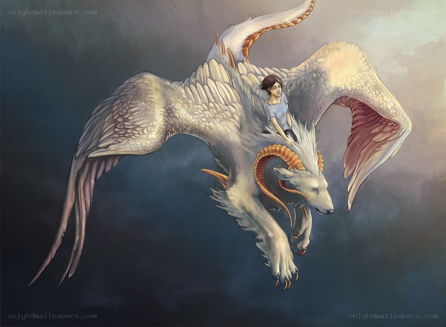 child riding a winged creature