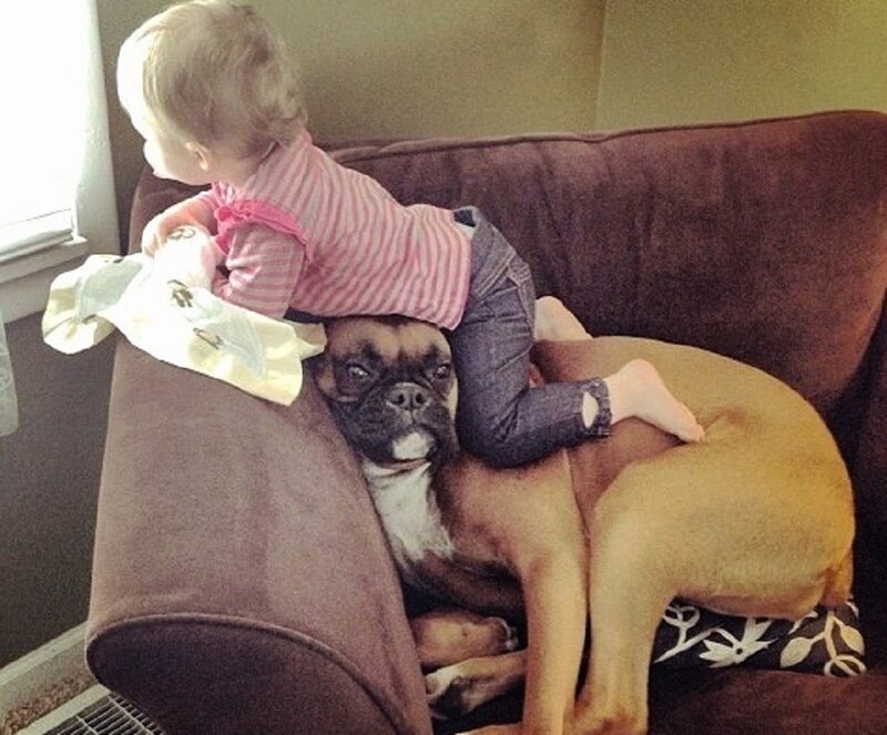 Child Riding Dog