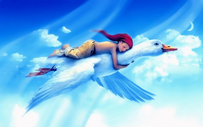 Child Riding Goose