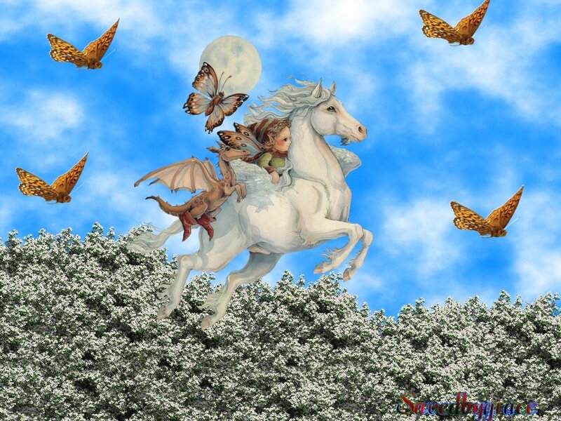 Child Riding White Horse