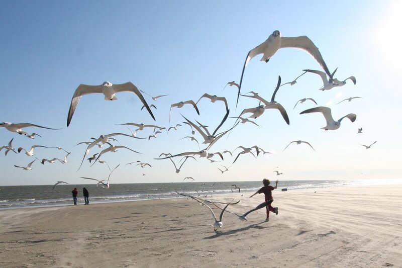 Child running from seagulls on beach