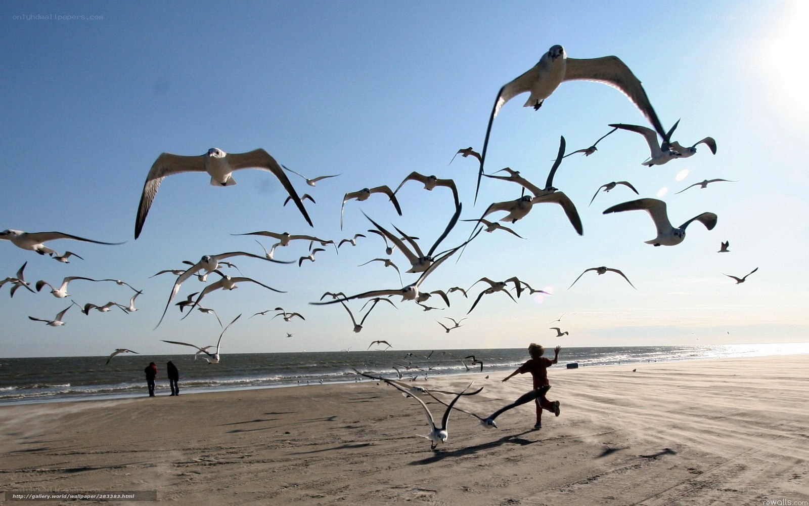 Child running from seagulls on beach