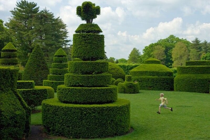Child Running in Garden