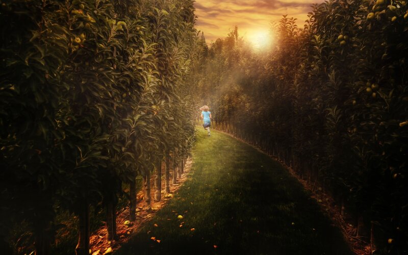 Child Running in Orchard