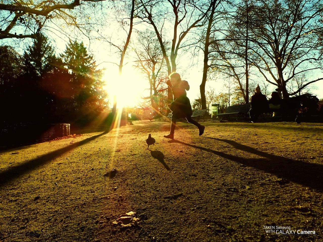 Child running in park at sunset