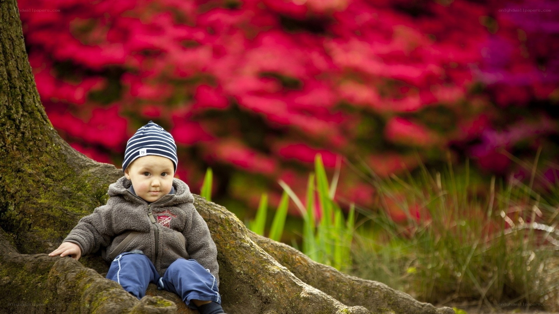 Child sitting by tree roots