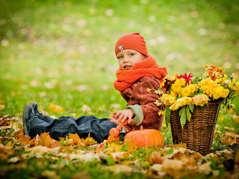 Child Sitting in Autumn Leaves