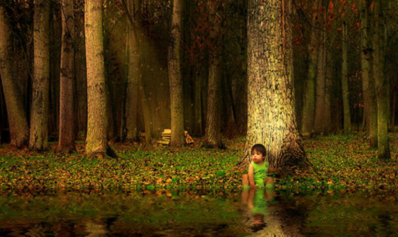 Child Sitting in Forest