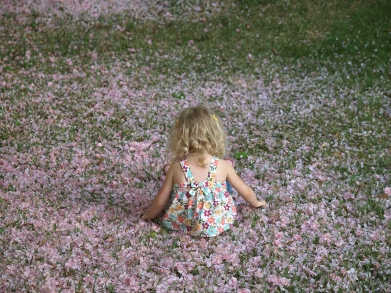 Child Sitting in Petals