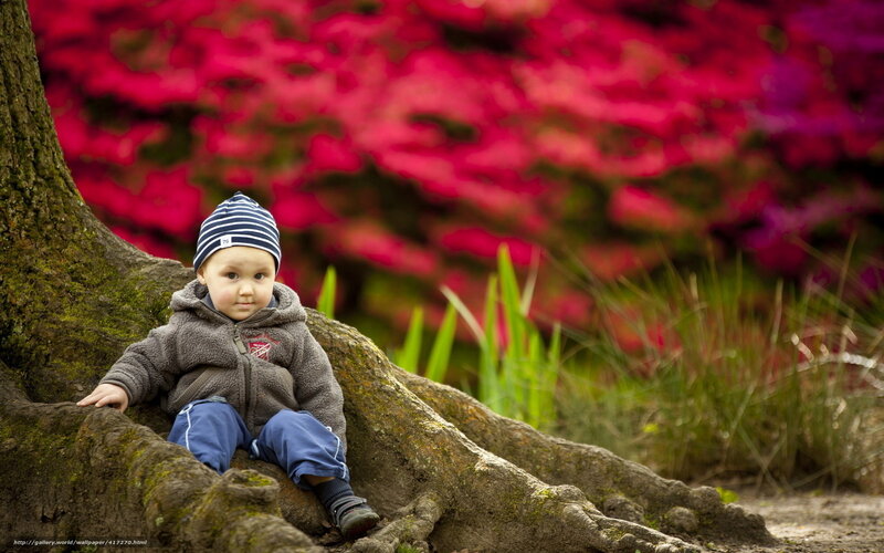 child sitting on tree roots