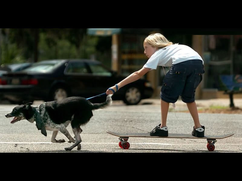 child skateboarding with dog