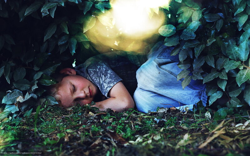 Child Sleeping in Bush