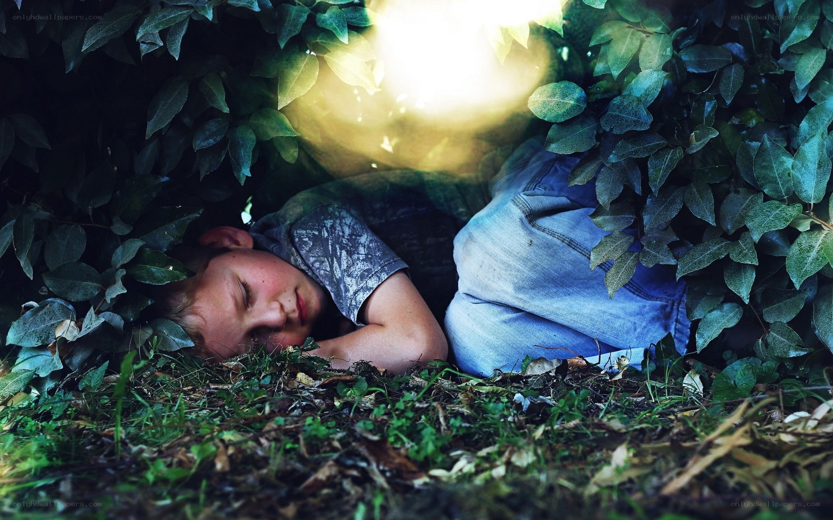 Child sleeping in foliage