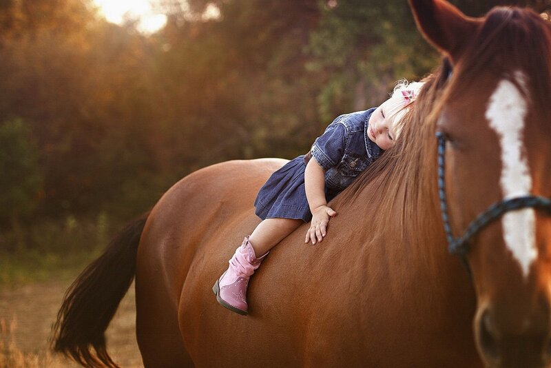 Child Sleeping on Horse — Brown