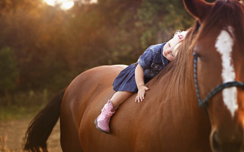 Child Sleeping on Horse