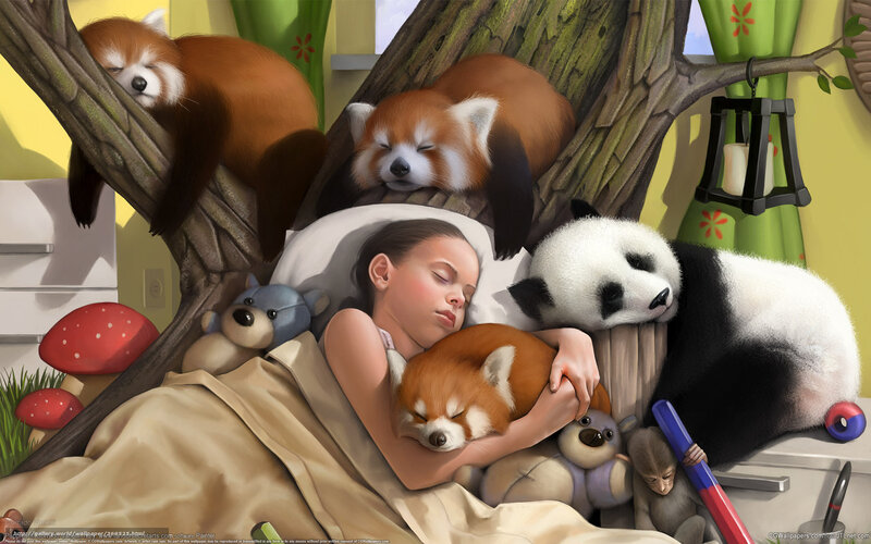 child sleeping with animals