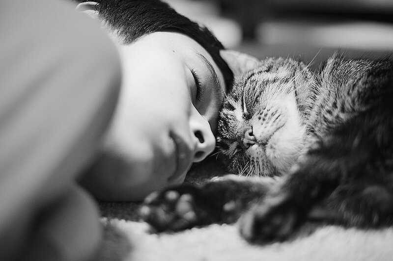 Child Sleeping with Cat — Black