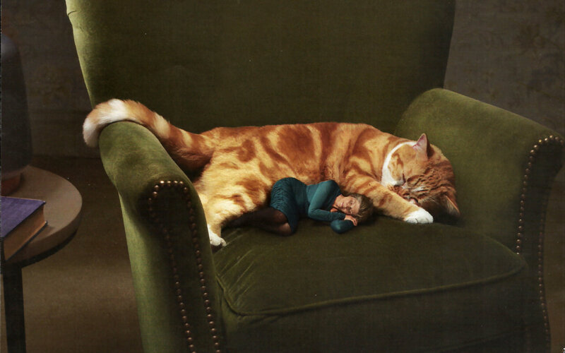 Child Sleeping with Cat — Green