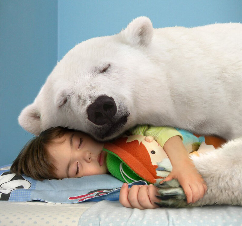 Child Sleeping with Polar Bear