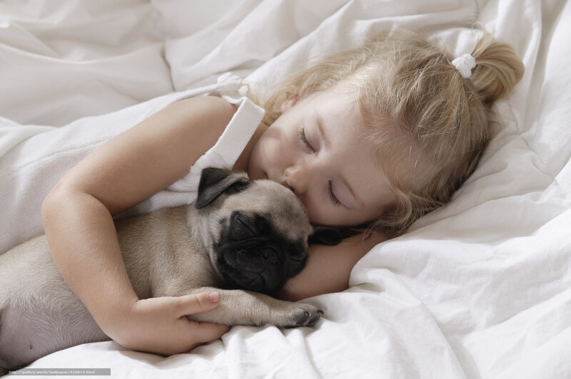 child sleeping with pug puppy