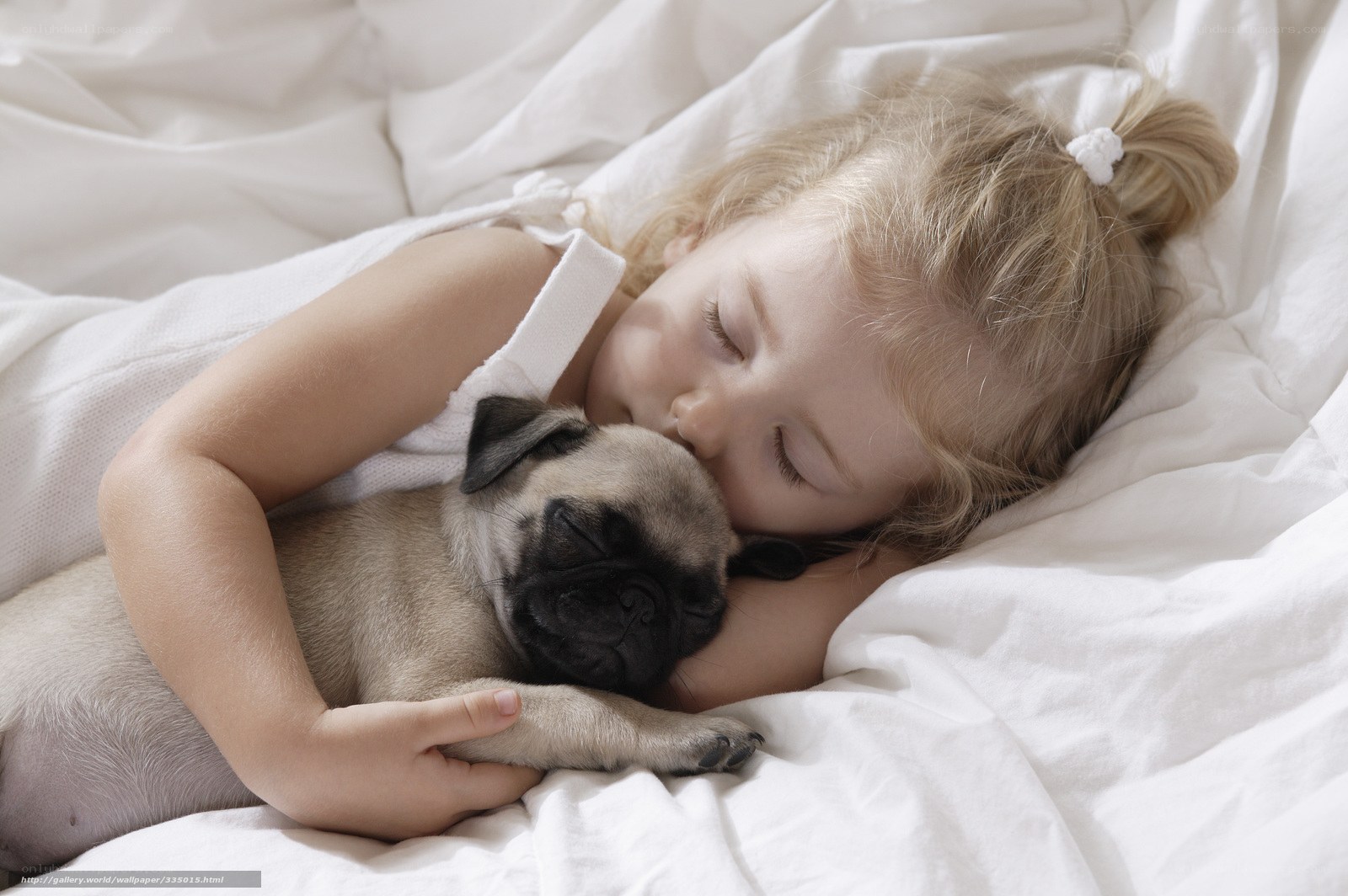 child sleeping with pug puppy