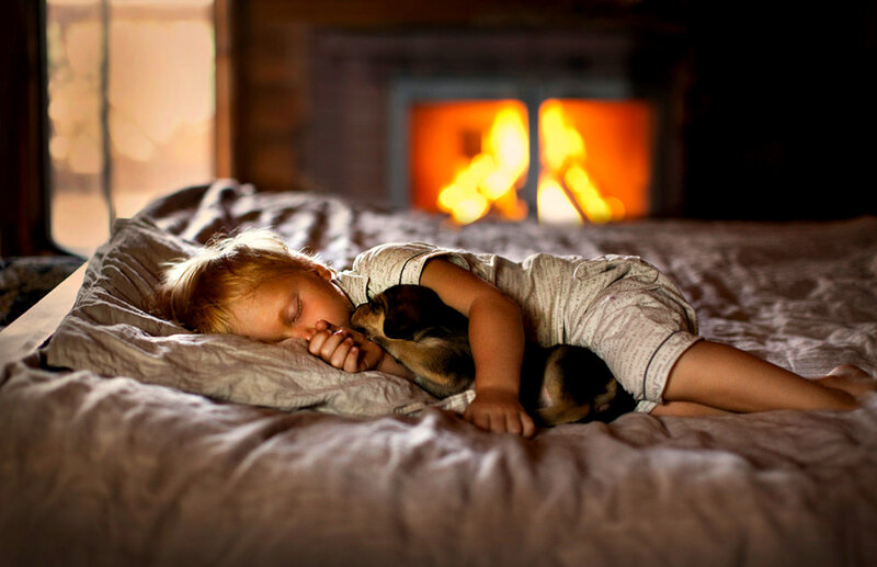 Child Sleeping with Puppy — Brown