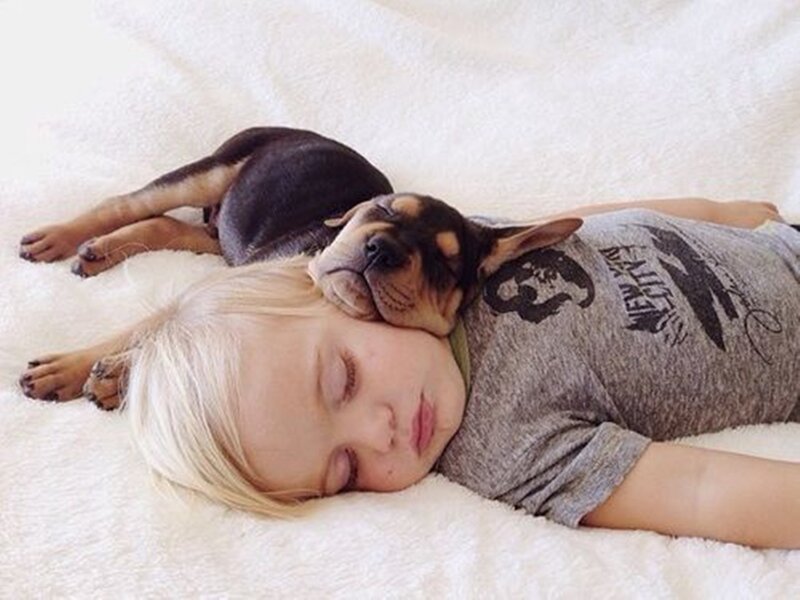 Child Sleeping with Puppy — White