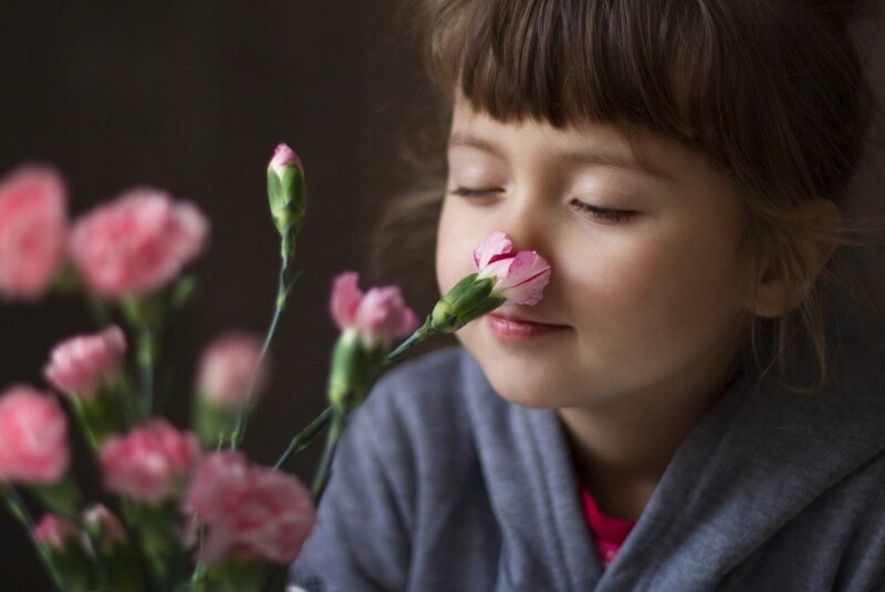 Child Smelling Flower — Pink, Serene, Photograph