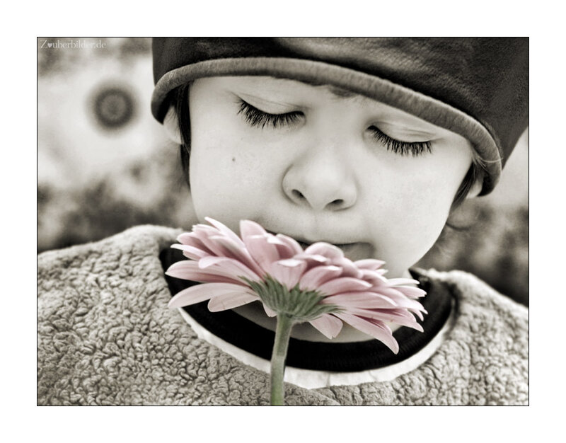 Child Smelling Flower — Pink