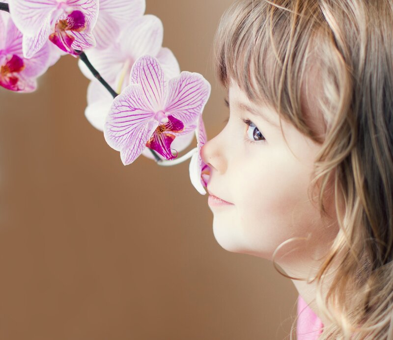Child Smelling Orchid