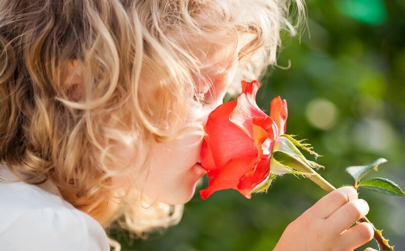Child Smelling Rose — Red, Serene, Afternoon