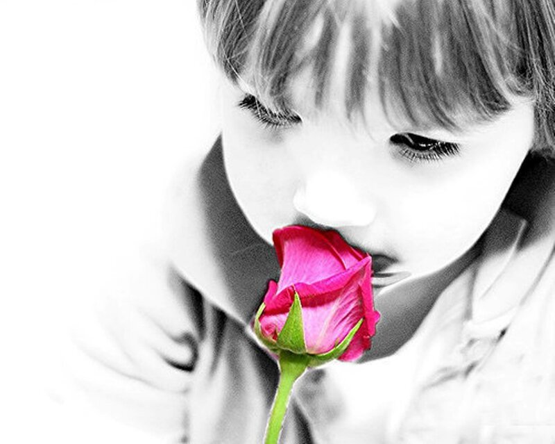 Child Smelling Rose