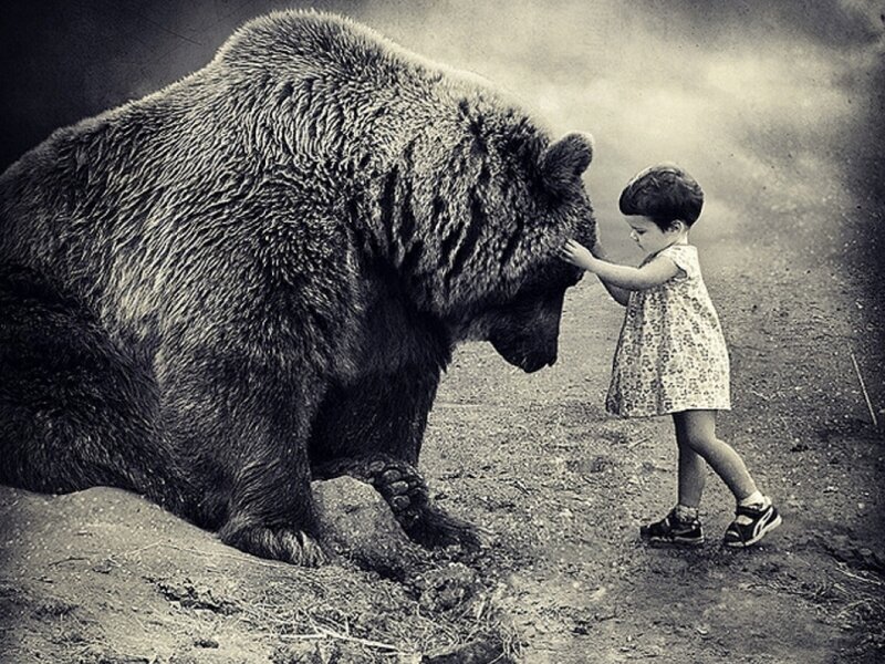 Child Touching Bear