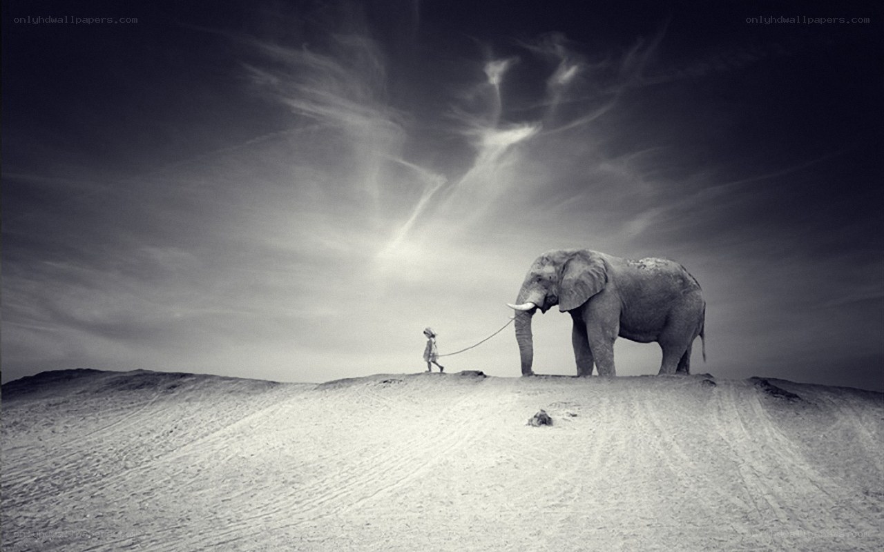 Child walking an elephant