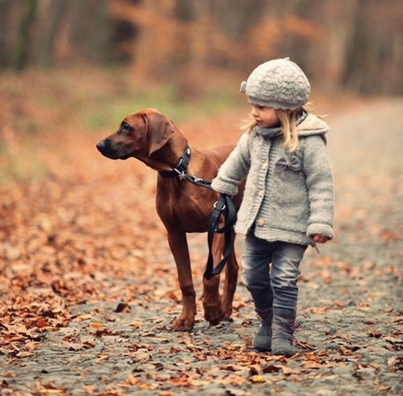 Child Walking Dog — Brown