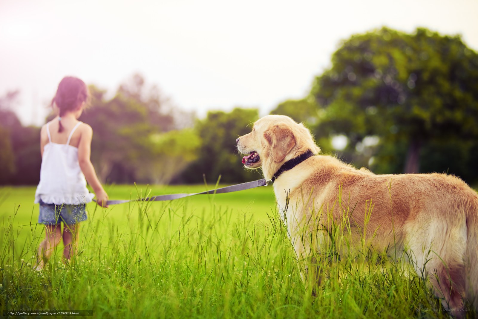 child walking dog in park