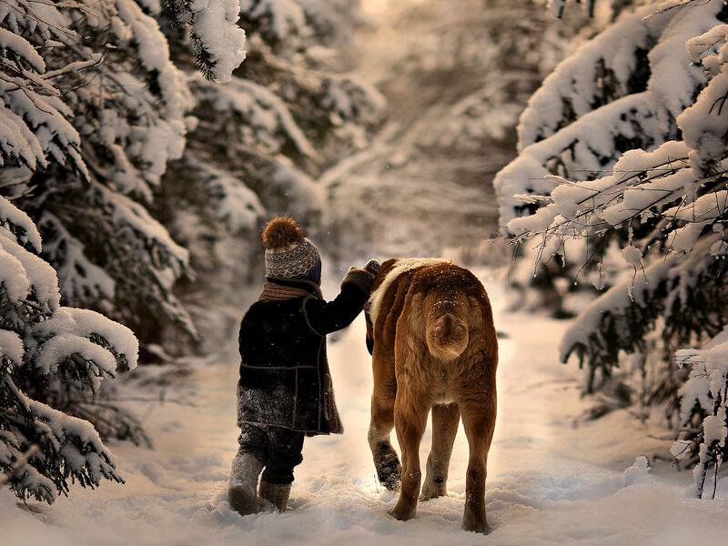 Child Walking Dog in Snow