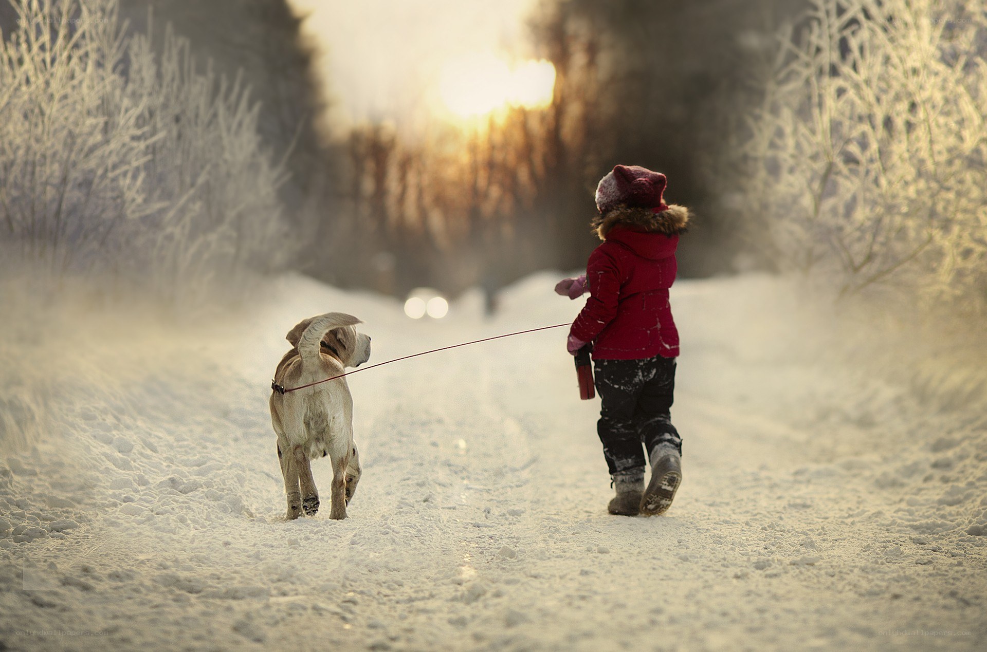 Child walking dog in winter