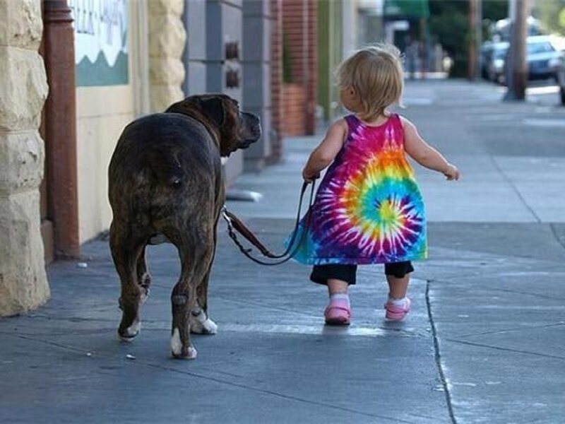 Child Walking Dog — Rainbow