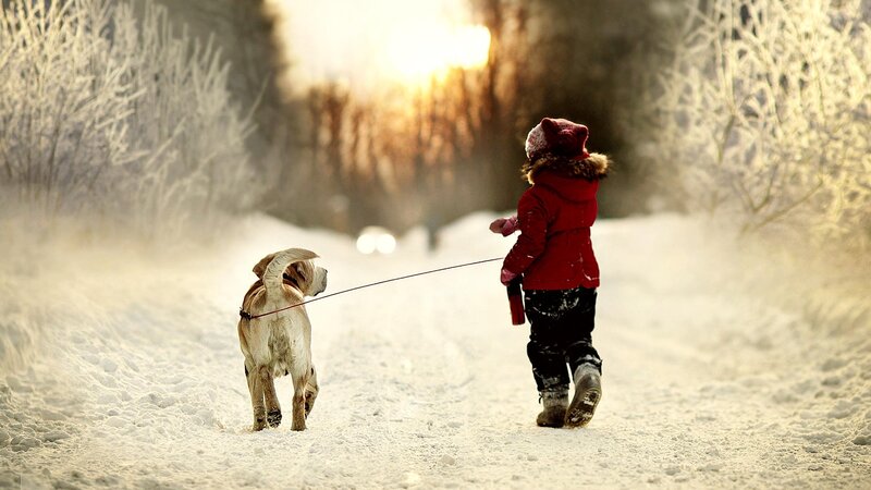 Child Walking Dog — Red, Peaceful