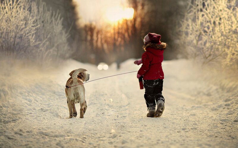 Child Walking Dog — Red