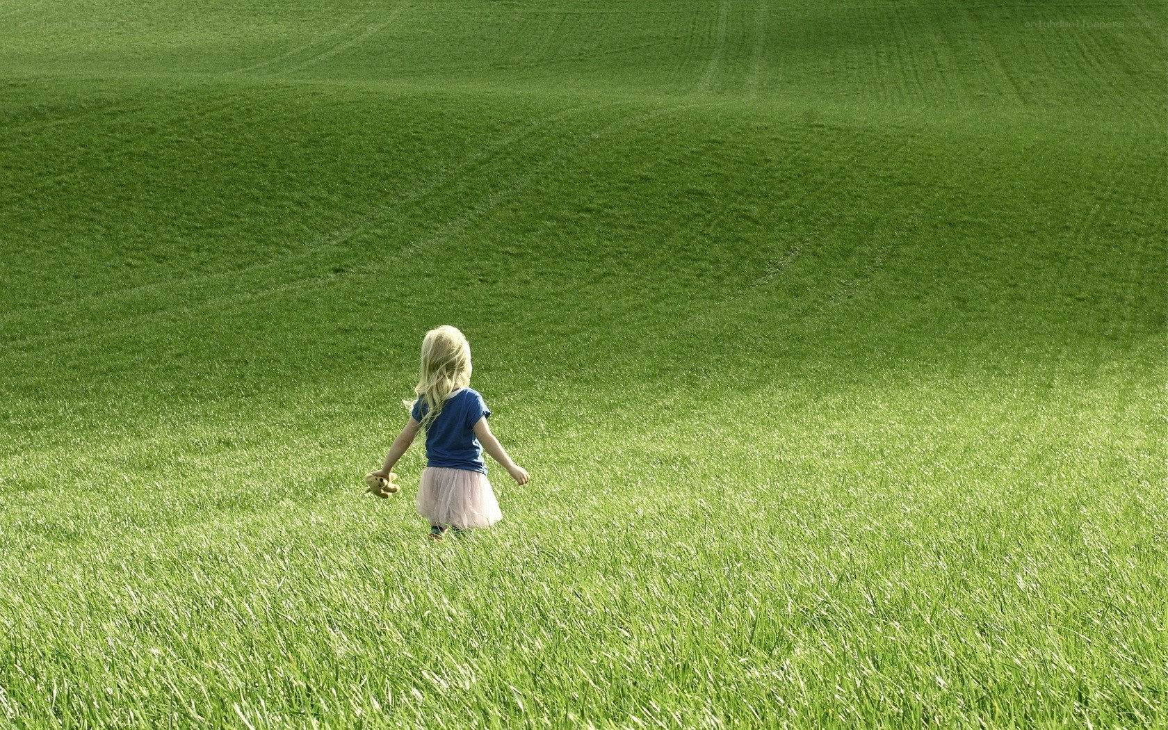 child walking in a green field