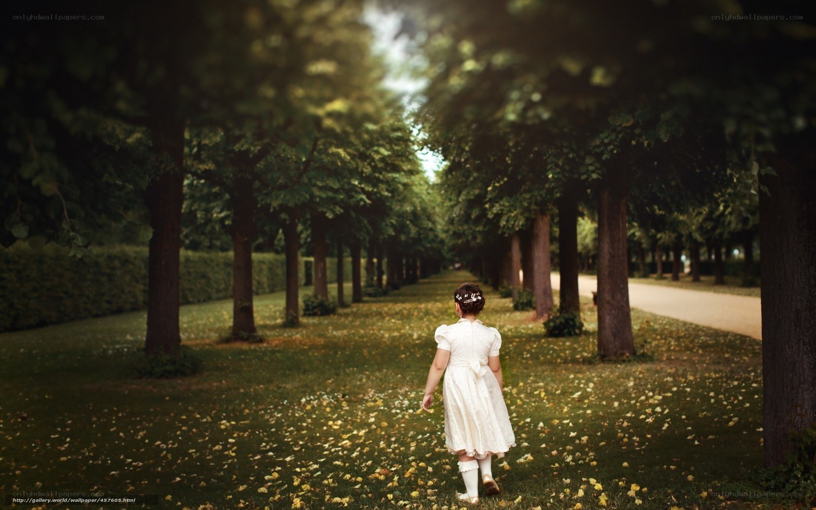 child walking in a park