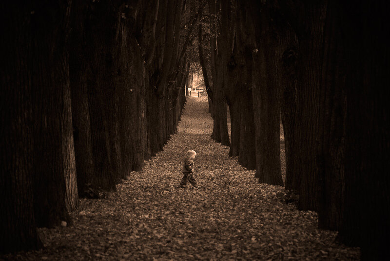 Child walking in a tree-lined path