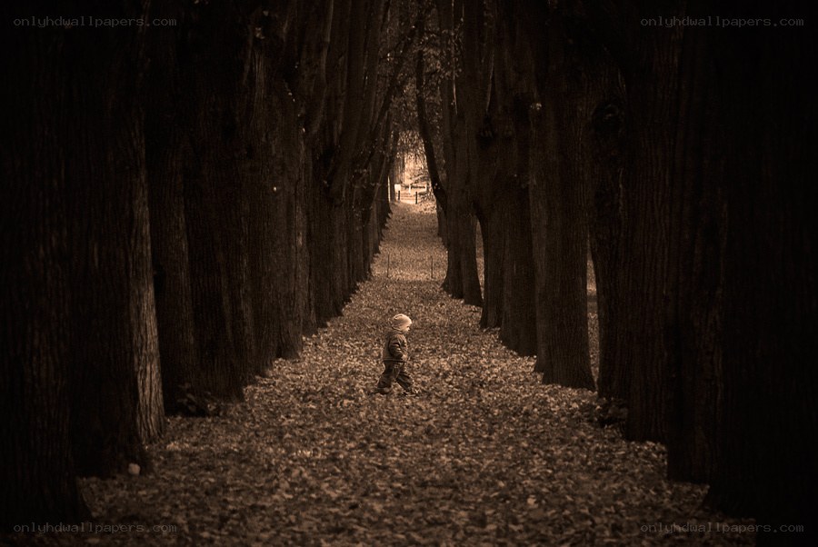 Child walking in a tree-lined path